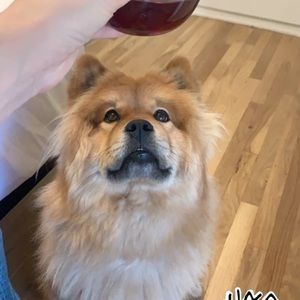 Meet your Posher, Joseph